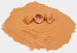 Coconut Shell Powder