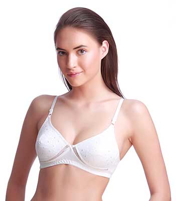 Molded Bra (M-1003) at Best Price in Ghaziabad