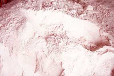 Black Salt Powder