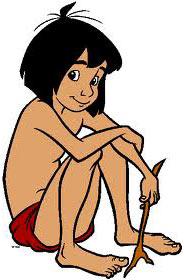 Mowgli the Jungle Book Dvd, Cartoon Dvd