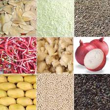 Agro Food Processing Services