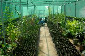 Greenhouse Services