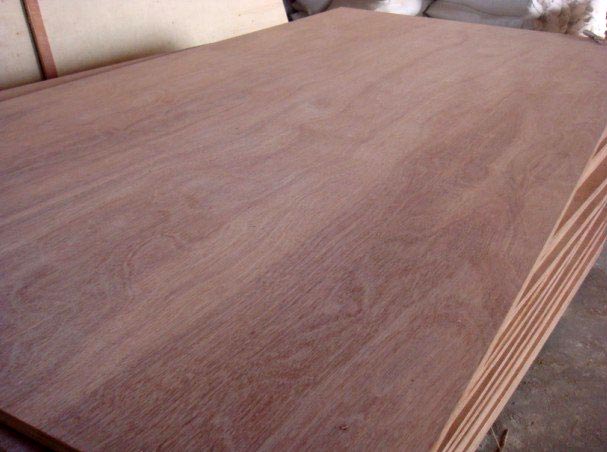 buy gurjan plywood from royal wood pvt. ltd., gandhidham