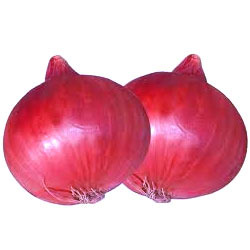 Red Onion Seeds, Packaging Type : bulk