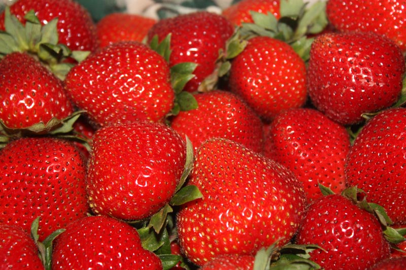 fresh strawberry