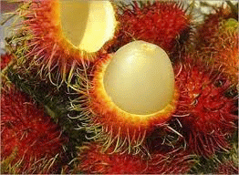 fresh rambutan