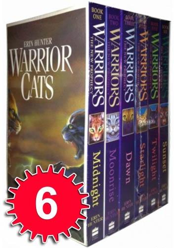 Warrior Cats Collection Books Set