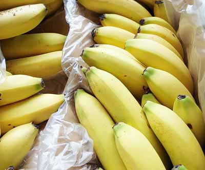 Fresh Bananas