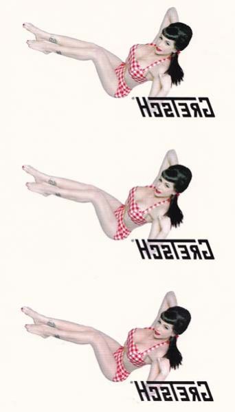 Guitar Headstock Water Slide Transfer Decals