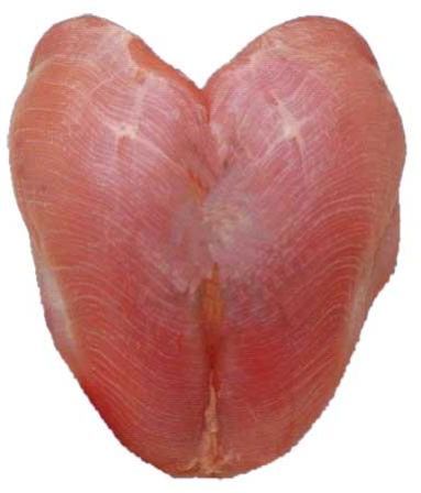 Turkey Double Breast Fillet