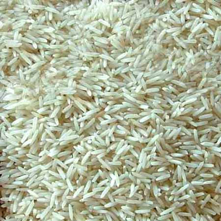 Indian Basmati Rice, Non Basmati Rice