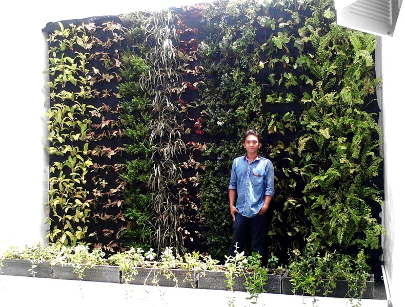 Services Cheap Vertical Garden From Indonesia By Pitulast