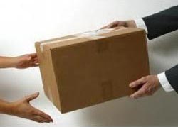 domestic courier services