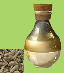 Black Cumin Seed Oil, for Cooking, Medicines, Packaging Type : Glass Bottels