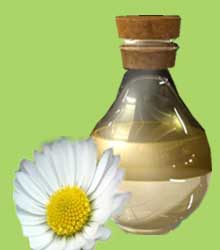 Chamomile Oil, Packaging Type : Bottle