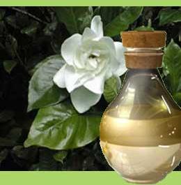 Gardenia Oil