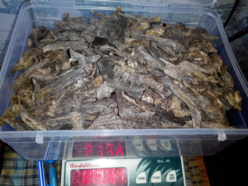 Indian Agarwood Chips High Quality