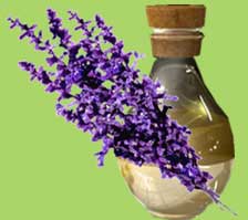Lavender oil, for Cosmetics, Pharmas, Packaging Type : 100ml, 200ml, 250ml, 50ml