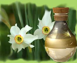 Narcissus Oil, for Skin care, Packaging Type : Bottle