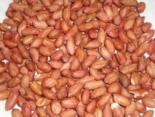 Natural Common HPS Groundnut Kernels, for Cooking Use, Making Oil, Feature : Fine Taste, Good For Health