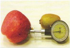 FRUIT FIRMNESS TESTER (PENETROMETER)