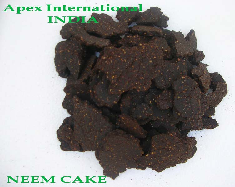 Neem cake, for Anniversary Party, Birthday, Marriage