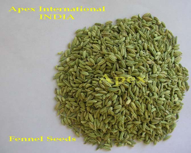 Fennel Seeds/Pure Foeniculum Vulgare Manufacturer in Jaipur Rajasthan ...
