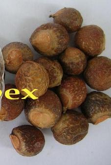 Soap Nut Whole, Detergent Type : Natural