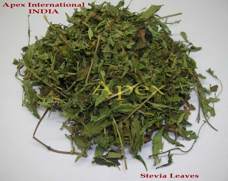 Stevia Leaves