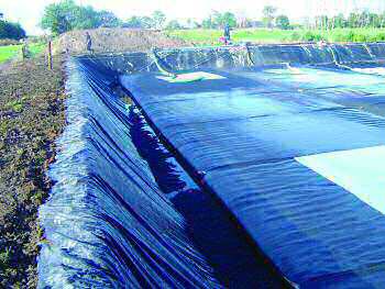 Non Woven Geotextile