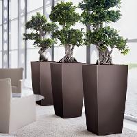 indoor planters