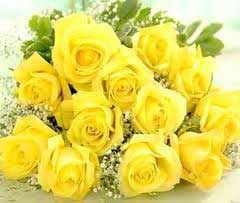 15 Yellow Rose Bunch