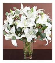 6 White Oriental Lily Bunch
