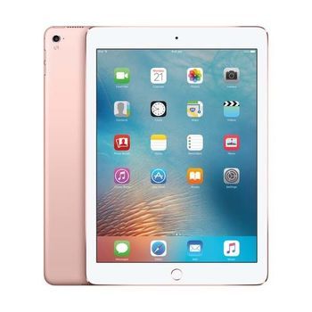 256GB  APPLE IPAD