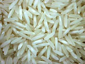 Basmati rice