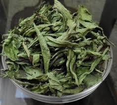 dried stevia leaves