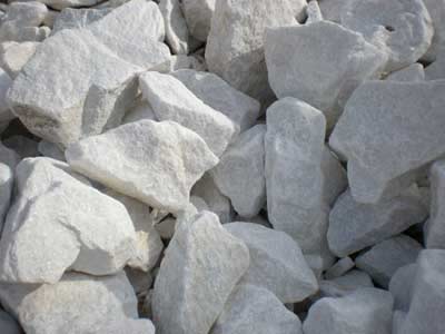 Kota Limestone