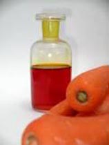 Carrot Seed Essential Oil