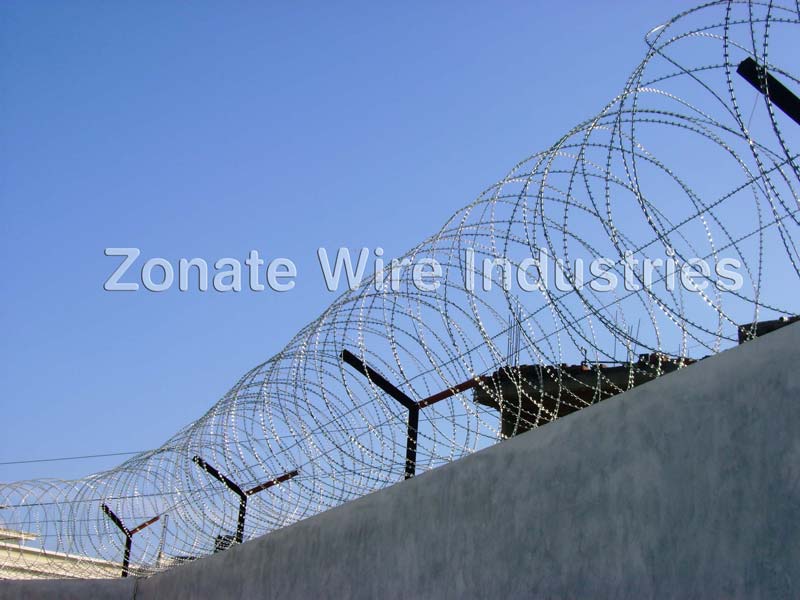Zonate Galvanized Razor Blade Wire Fencing, Wire Diameter : 2.59 M.M.