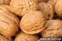Almond Nuts