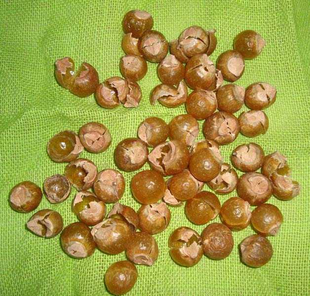 Soap Nuts, Grade : aaa