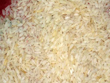 Non Basmati Rice