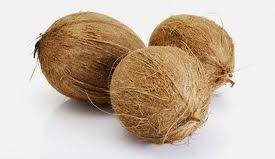 Matured coconut
