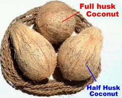 Matured semi husked coconut