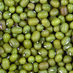 Green Moong (Green Beans)