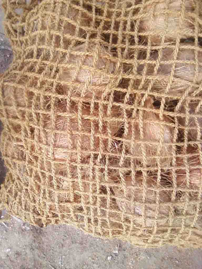 Water Holding Capacity of Coco Coir Grow Bags - Riococo