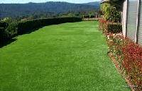 artificial lawns