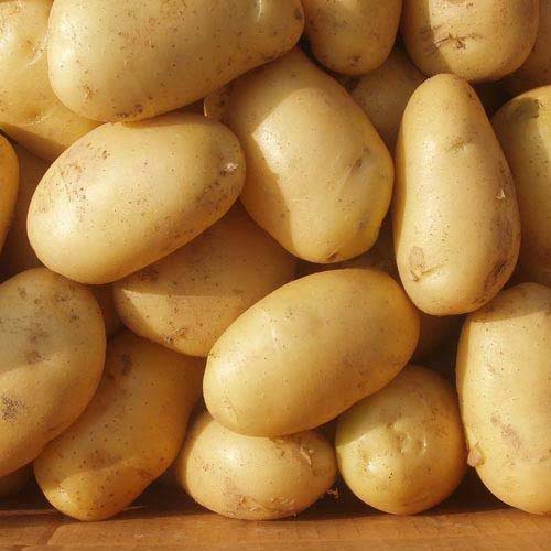 potatoes