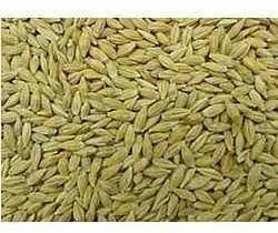 Animal Feed, Bird Feed