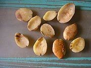 Top Dried African Bush Mango